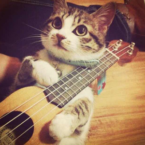 欧美男巨人激情Gay
